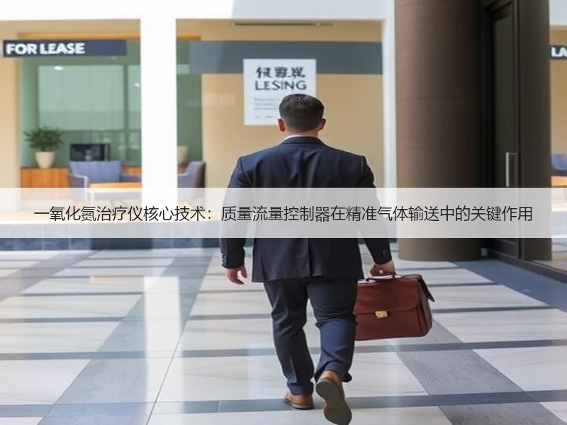 一氧化氮治疗仪核心技术：质量流量控制器在精准气体输送中的关键