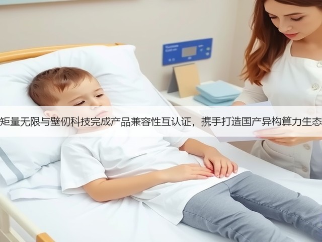 矩量无限与壁仞科技完成产品兼容性互认证,携手打造国产异构算力生态(图3) 矩量无限与壁仞科技完成产品兼容性互认证,携手打造国产异构算力生态(图3)