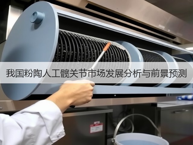 我国粉陶人工髋关节市场发展分析与前景预测(图3) 我国粉陶人工髋关节市场发展分析与前景预测(图3)
