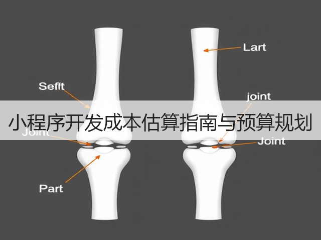 小程序开发成本估算指南与预算规划(图3) 小程序开发成本估算指南与预算规划(图3)