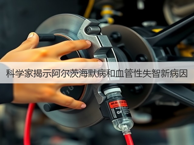 科学家揭示阿尔茨海默病和血管性失智新病因(图3) 科学家揭示阿尔茨海默病和血管性失智新病因(图3)