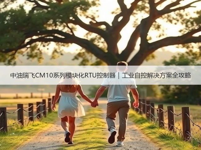 中油瑞飞CM10系列模块化RTU控制器｜工业自控解决方案全攻略(图3)