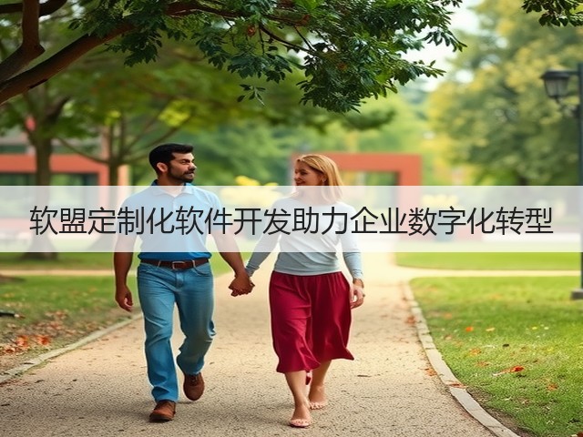 软盟定制化软件开发助力企业数字化转型(图3)
