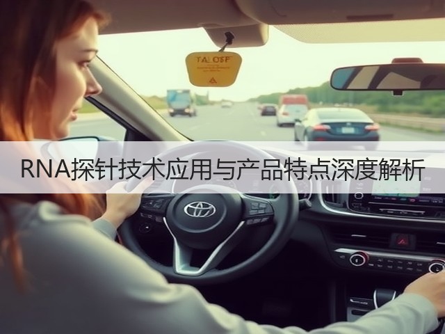 RNA探针技术应用与产品特点深度解析(图2) RNA探针技术应用与产品特点深度解析(图2)