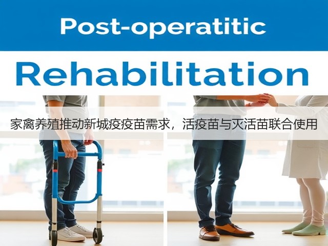 家禽养殖推动新城疫疫苗需求,活疫苗与灭活苗联合使用(图3) 家禽养殖推动新城疫疫苗需求,活疫苗与灭活苗联合使用(图3)