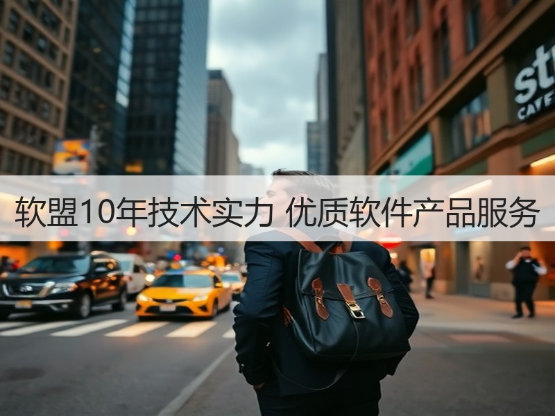 软盟10年技术实力 优质软件产品服务