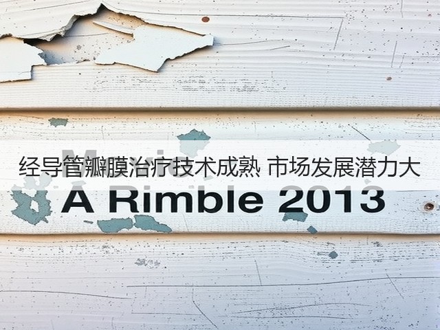 经导管瓣膜治疗技术成熟 市场发展潜力大(图2) 经导管瓣膜治疗技术成熟 市场发展潜力大(图2)