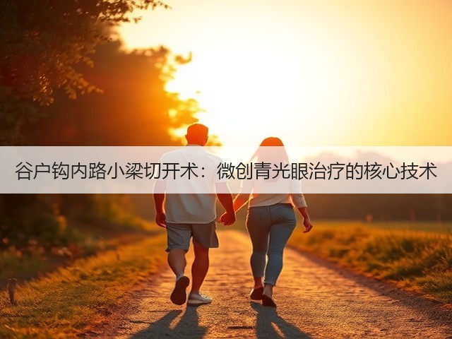 谷户钩内路小梁切开术:微创青光眼治疗的核心技术(图1) 谷户钩内路小梁切开术:微创青光眼治疗的核心技术(图1)