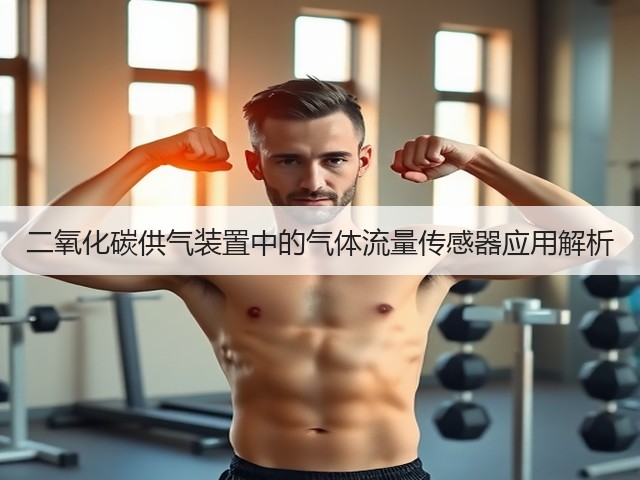 二氧化碳供气装置中的气体流量传感器应用解析(图3) 二氧化碳供气装置中的气体流量传感器应用解析(图3)