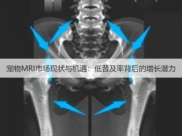 宠物MRI市场现状与机遇:低普及率背后的增长潜力(图3) 宠物MRI市场现状与机遇:低普及率背后的增长潜力(图3)