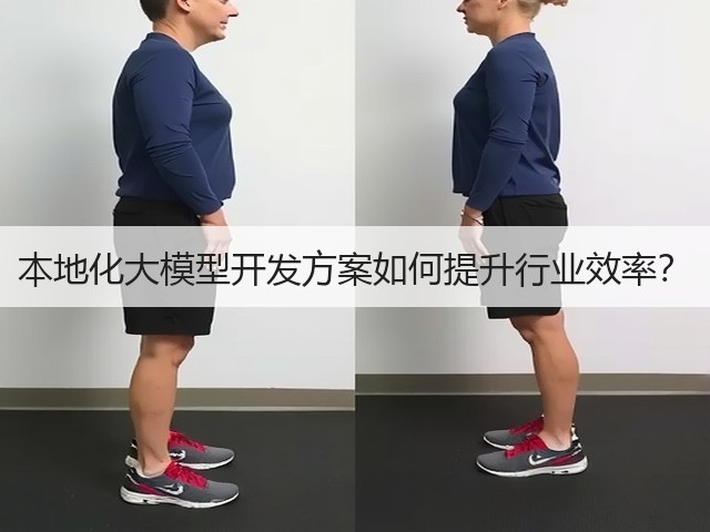 本地化大模型开发方案如何提升行业效率?(图1) 本地化大模型开发方案如何提升行业效率?(图1)