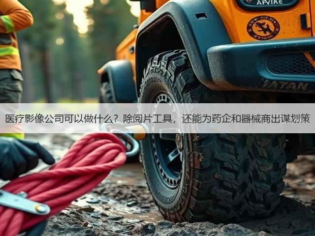 医疗影像公司可以做什么?除阅片工具,还能为药企和器械商出谋划策(图3) 医疗影像公司可以做什么?除阅片工具,还能为药企和器械商出谋划策(图3)