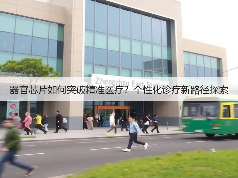 器官芯片如何突破精准医疗？个性化诊疗新路径探索