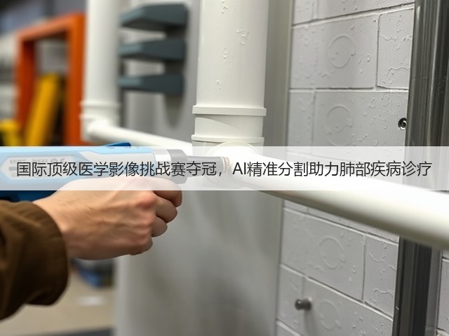国际顶级医学影像挑战赛夺冠,AI精准分割助力肺部疾病诊疗(图3) 国际顶级医学影像挑战赛夺冠,AI精准分割助力肺部疾病诊疗(图3)