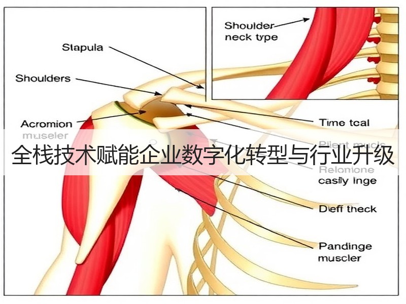 全栈技术赋能企业数字化转型与行业升级