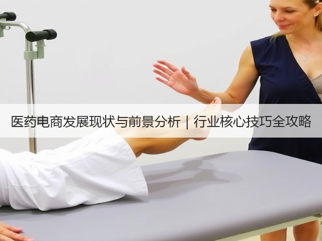 医药电商发展现状与前景分析|行业核心技巧全攻略(图3) 医药电商发展现状与前景分析|行业核心技巧全攻略(图3)