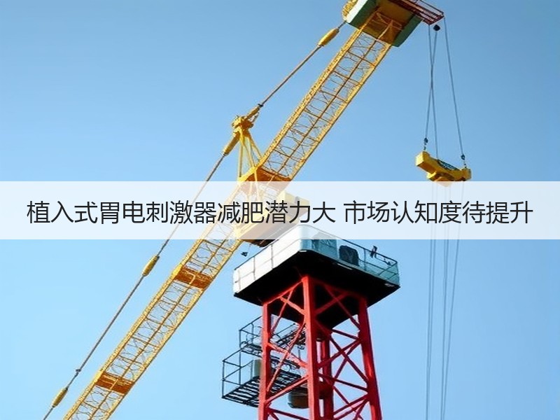 植入式胃电刺激器减肥潜力大 市场认知度待提升