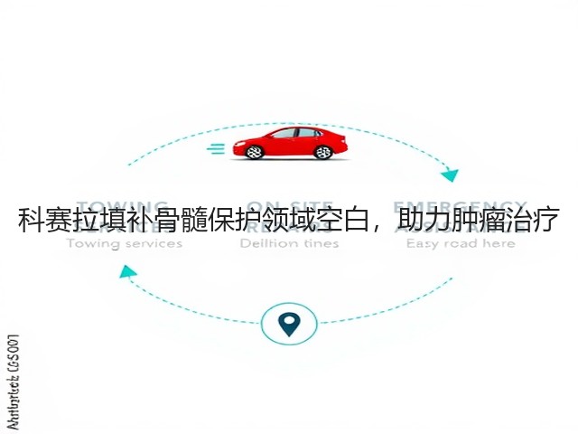 科赛拉填补骨髓保护领域空白,助力肿瘤治疗(图2) 科赛拉填补骨髓保护领域空白,助力肿瘤治疗(图2)