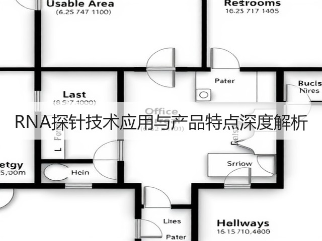 RNA探针技术应用与产品特点深度解析(图1) RNA探针技术应用与产品特点深度解析(图1)