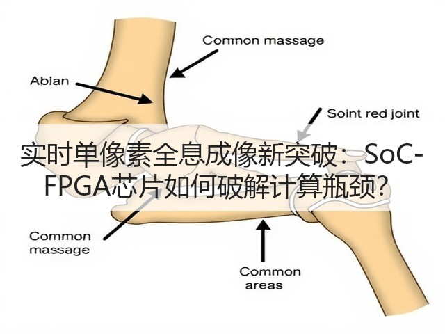 实时单像素全息成像新突破：SoC-FPGA芯片如何破解计算瓶颈？(图1)