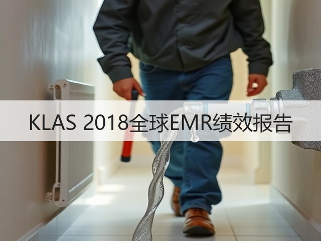 KLAS 2018全球EMR绩效报告(图3) KLAS 2018全球EMR绩效报告(图3)