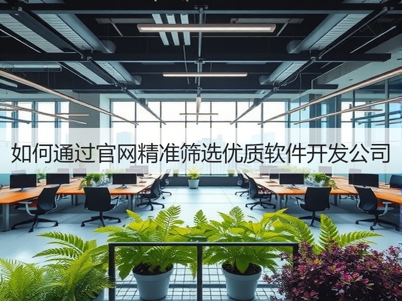 如何通过官网精准筛选优质软件开发公司