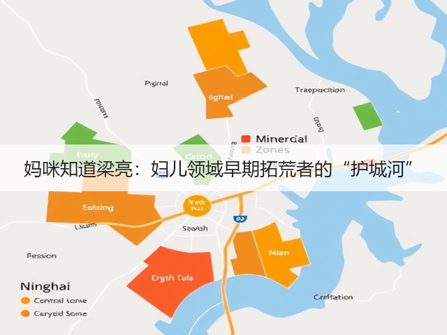妈咪知道梁亮:妇儿领域早期拓荒者的“护城河”(图3) 妈咪知道梁亮:妇儿领域早期拓荒者的“护城河”(图3)