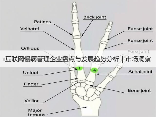 互联网慢病管理企业盘点与发展趋势分析｜市场洞察(图1)