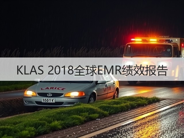 KLAS 2018全球EMR绩效报告(图2) KLAS 2018全球EMR绩效报告(图2)