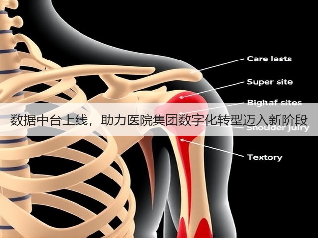 数据中台上线,助力医院集团数字化转型迈入新阶段(图2) 数据中台上线,助力医院集团数字化转型迈入新阶段(图2)