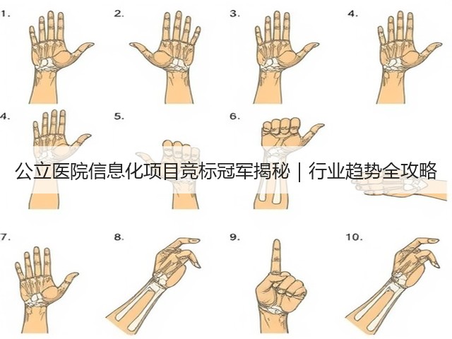 公立医院信息化项目竞标冠军揭秘|行业趋势全攻略(图3) 公立医院信息化项目竞标冠军揭秘|行业趋势全攻略(图3)