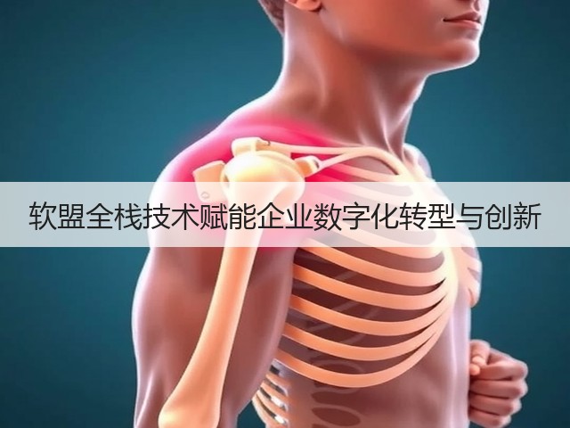 软盟全栈技术赋能企业数字化转型与创新(图1)