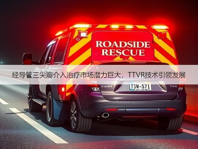经导管三尖瓣介入治疗市场潜力巨大,TTVR技术引领发展(图3) 经导管三尖瓣介入治疗市场潜力巨大,TTVR技术引领发展(图3)