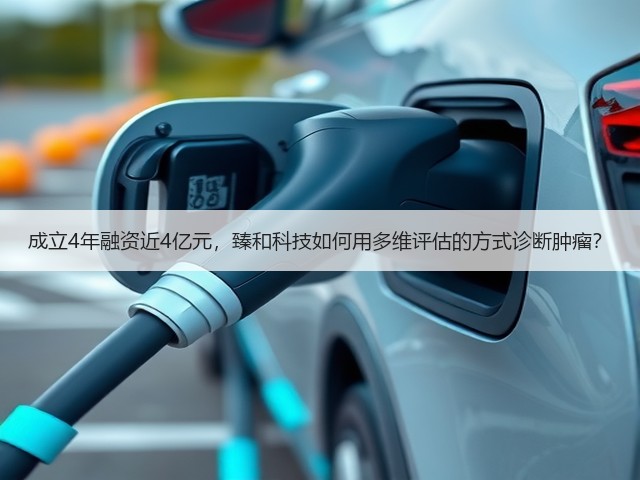 成立4年融资近4亿元,臻和科技如何用多维评估的方式诊断肿瘤?(图1) 成立4年融资近4亿元,臻和科技如何用多维评估的方式诊断肿瘤?(图1)