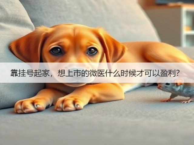 靠挂号起家,想上市的微医什么时候才可以盈利?(图2) 靠挂号起家,想上市的微医什么时候才可以盈利?(图2)