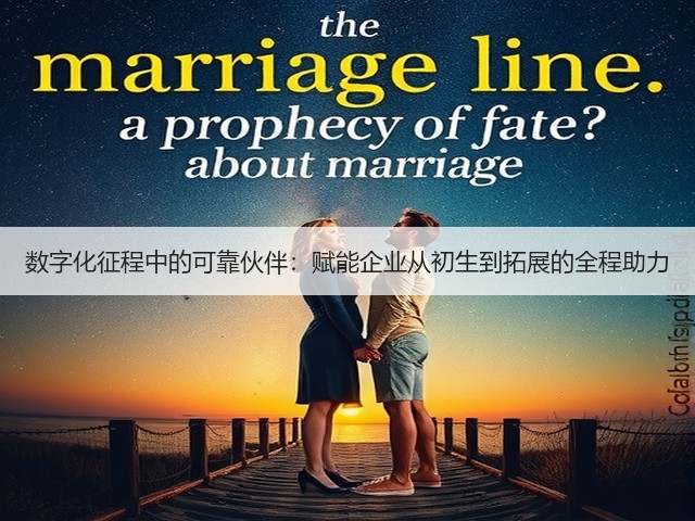 数字化征程中的可靠伙伴:赋能企业从初生到拓展的全程助力(图1) 数字化征程中的可靠伙伴:赋能企业从初生到拓展的全程助力(图1)