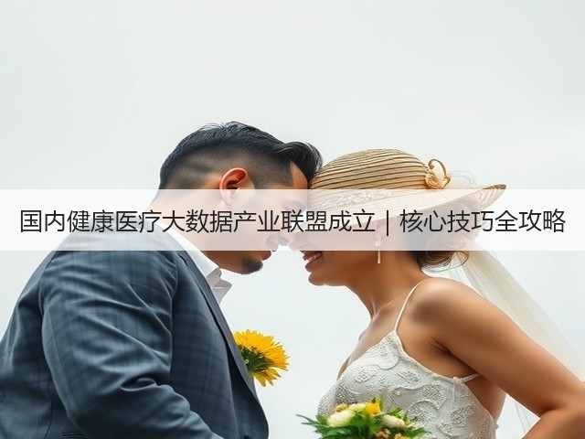 国内健康医疗大数据产业联盟成立|核心技巧全攻略(图1) 国内健康医疗大数据产业联盟成立|核心技巧全攻略(图1)