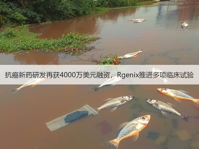 抗癌新药研发再获4000万美元融资,Rgenix推进多项临床试验(图2) 抗癌新药研发再获4000万美元融资,Rgenix推进多项临床试验(图2)
