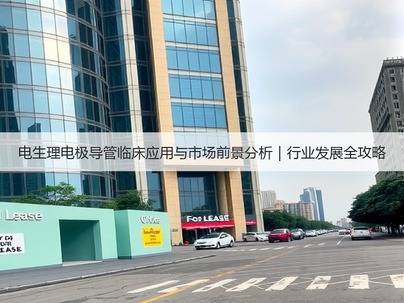 电生理电极导管临床应用与市场前景分析｜行业发展全攻略