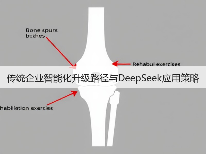 传统企业智能化升级路径与DeepSeek应用策略