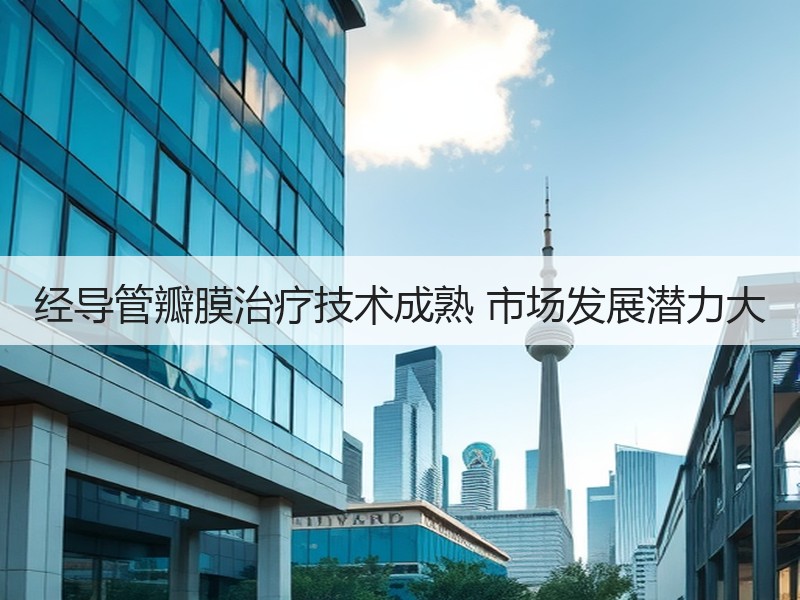 经导管瓣膜治疗技术成熟 市场发展潜力大