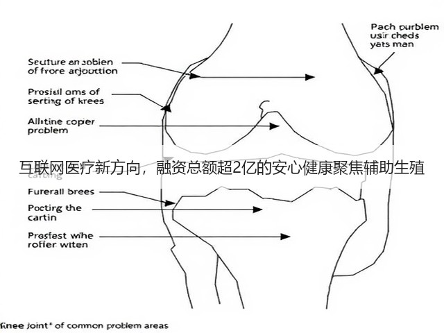 互联网医疗新方向,融资总额超2亿的安心健康聚焦辅助生殖(图2) 互联网医疗新方向,融资总额超2亿的安心健康聚焦辅助生殖(图2)