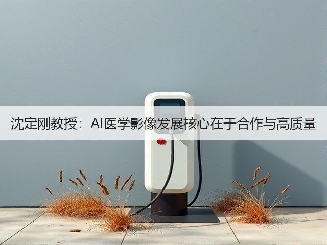沈定刚教授：AI医学影像发展核心在于合作与高质量(图3)
