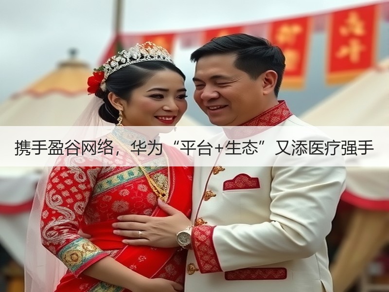 携手盈谷网络，华为“平台+生态”又添医疗强手