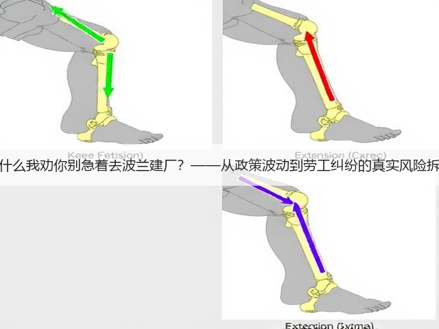 为什么我劝你别急着去波兰建厂?——从政策波动到劳工纠纷的真实风险拆解(图1) 为什么我劝你别急着去波兰建厂?——从政策波动到劳工纠纷的真实风险拆解(图1)