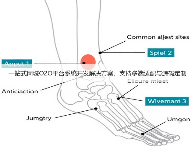 一站式同城O2O平台系统开发解决方案,支持多端适配与源码定制(图2) 一站式同城O2O平台系统开发解决方案,支持多端适配与源码定制(图2)
