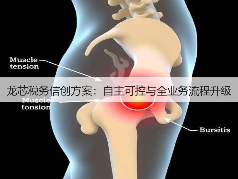 龙芯税务信创方案：自主可控与全业务流程升级