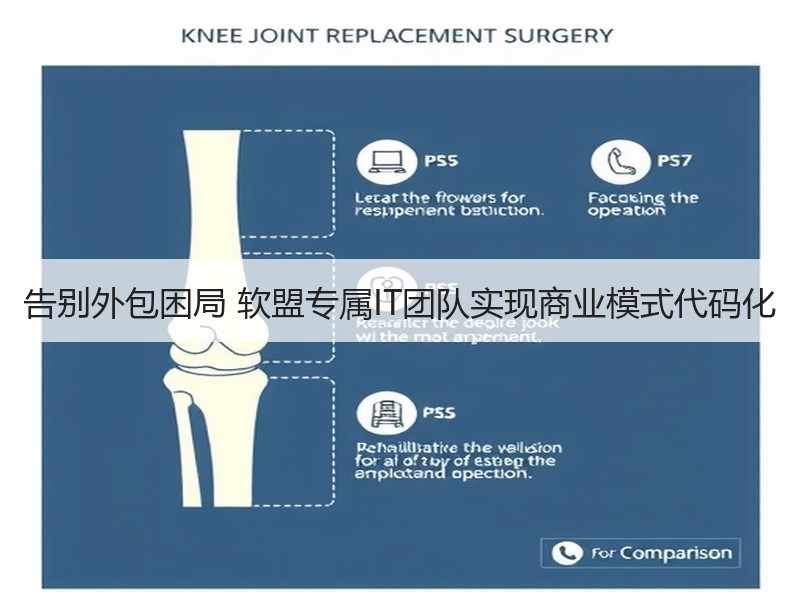 告别外包困局 软盟专属IT团队实现商业模式代码化