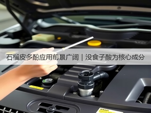 石榴皮多酚应用前景广阔|没食子酸为核心成分(图2) 石榴皮多酚应用前景广阔|没食子酸为核心成分(图2)