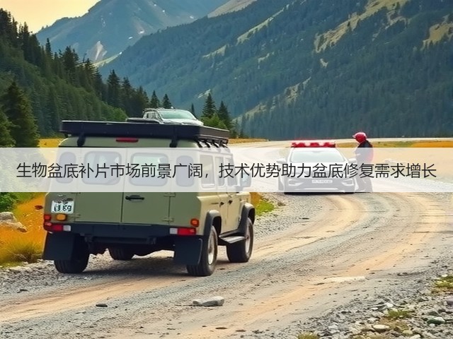 生物盆底补片市场前景广阔,技术优势助力盆底修复需求增长(图1) 生物盆底补片市场前景广阔,技术优势助力盆底修复需求增长(图1)